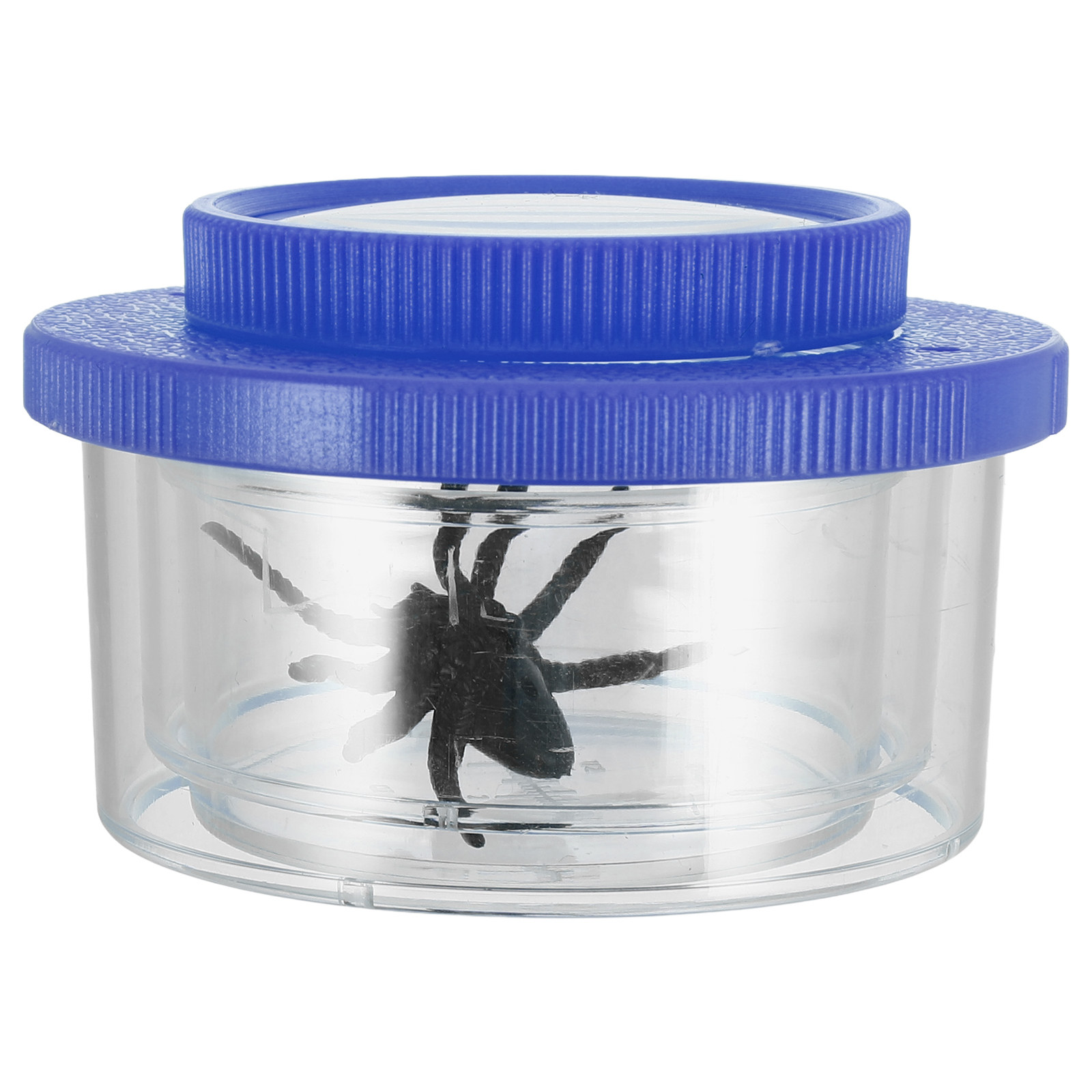 Zestaw do obserwacji owadów dl – Science Kit recenzja i cena
